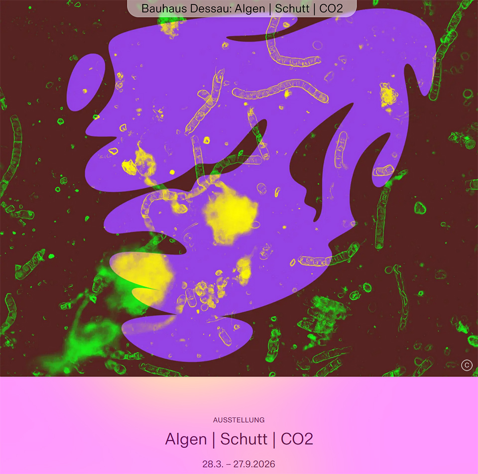 Sreenshot Website Bauhaus Dessau