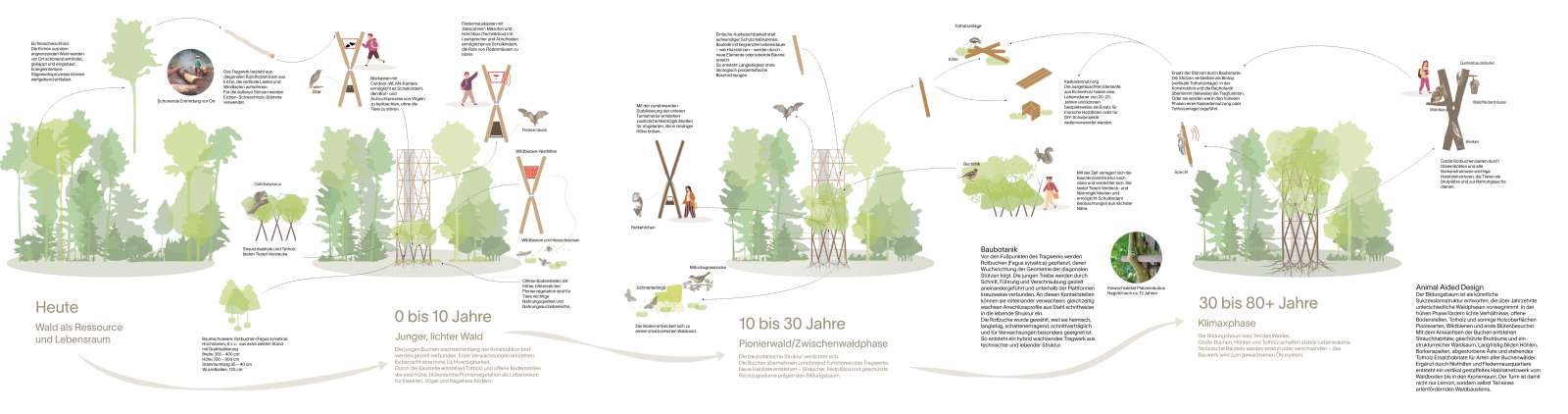 Diagramm zeitliche Entwicklung