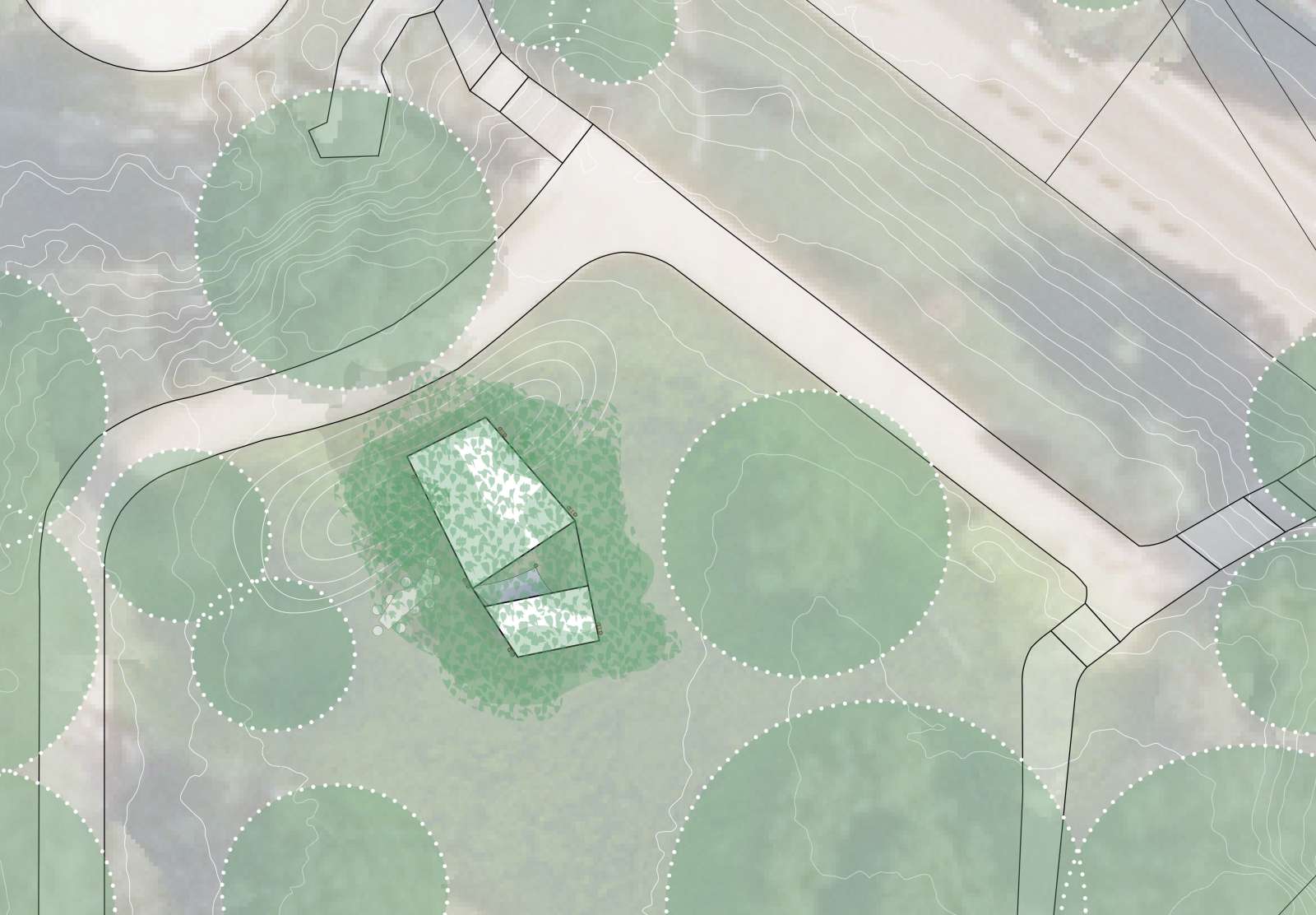 Top view: matured condition