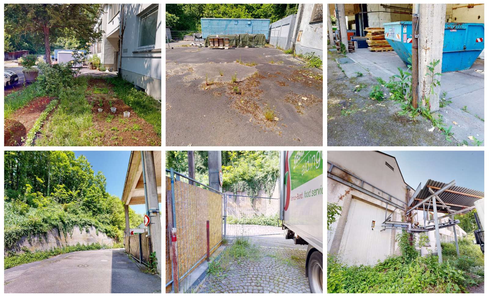 Collage Aneignung Natur