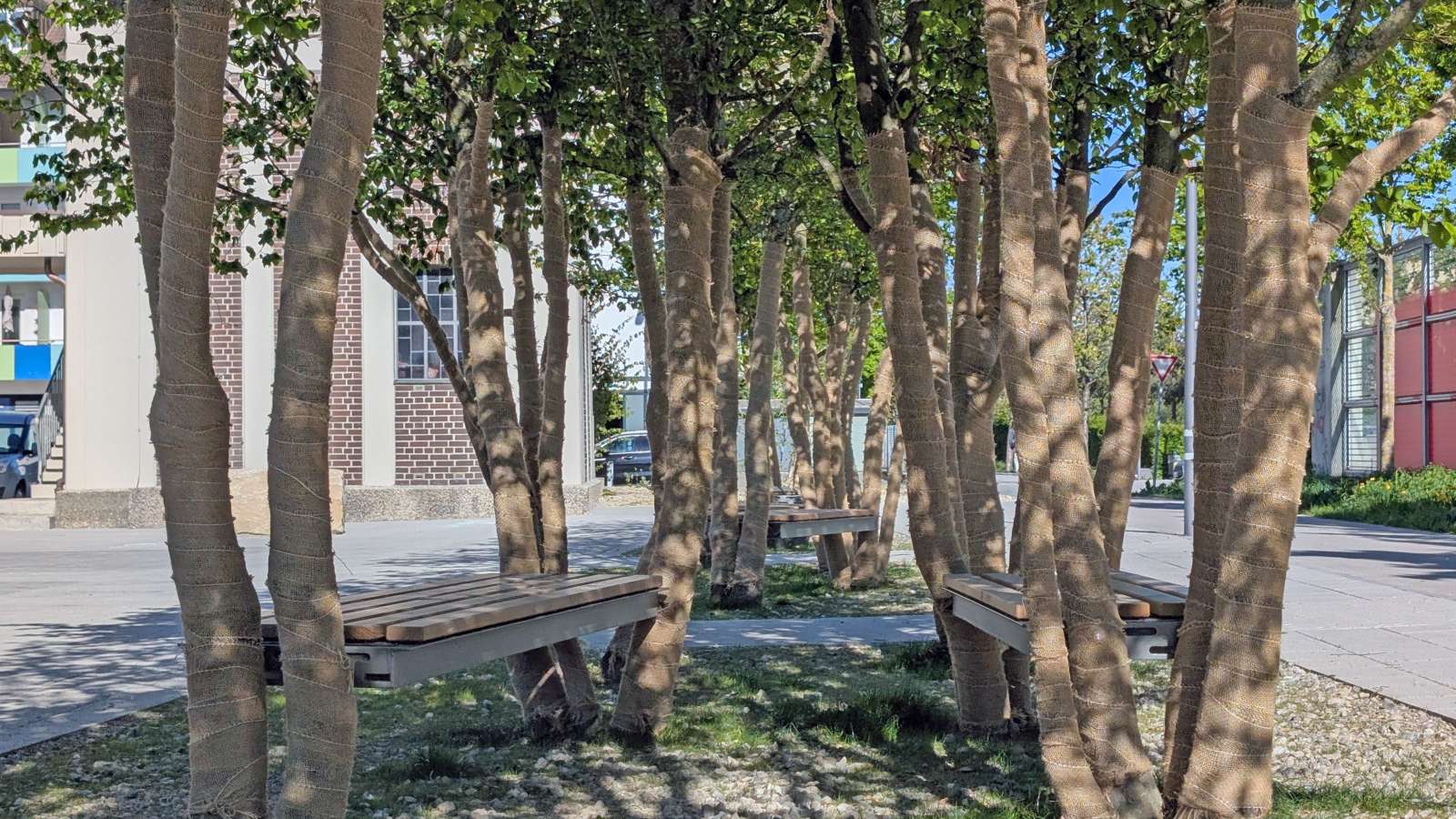 Baubotanischer Hain mit Bänken