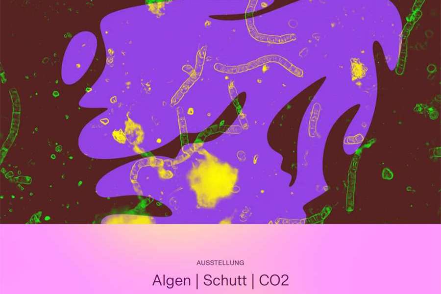 Algen | Schutt | CO2 Bauhaus Dessau 100 Ausstellungsbeitrag