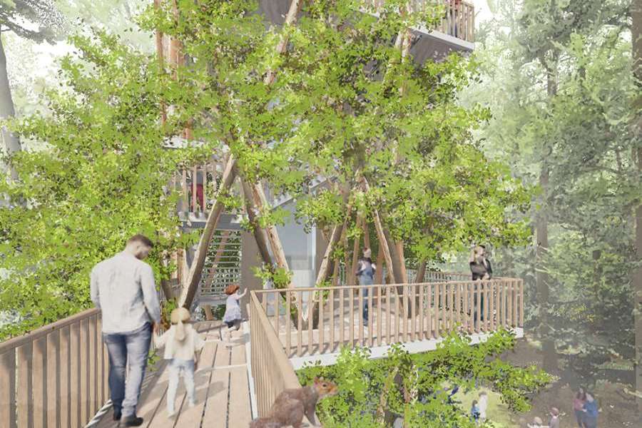 Bildungsbaum, Erweiterung Haus des Waldes